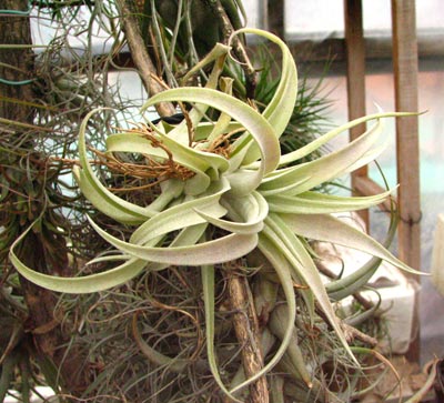 ���Ͷ̾���������Ҷ����