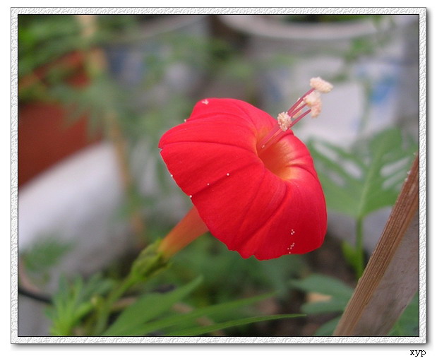 ���ܵ��¼�