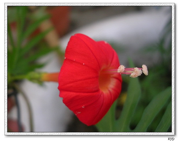 ���ܵ��¼�