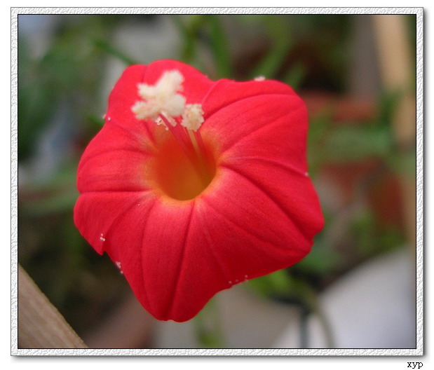 ���ܵ��¼�