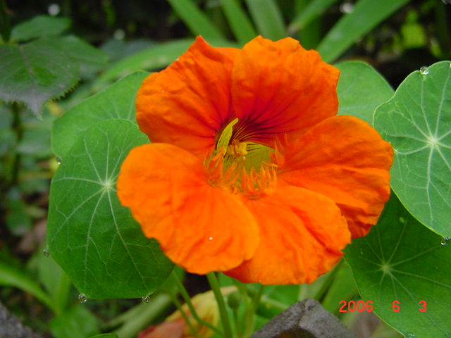 ����СԺ����P12 ���ٺ�����