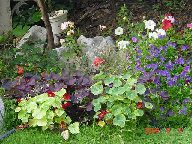 ����СԺ����P12 ���ٺ�����