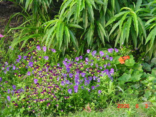 ����СԺ����P12 ���ٺ�����