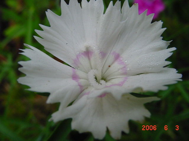 ����СԺ����P12 ���ٺ�����