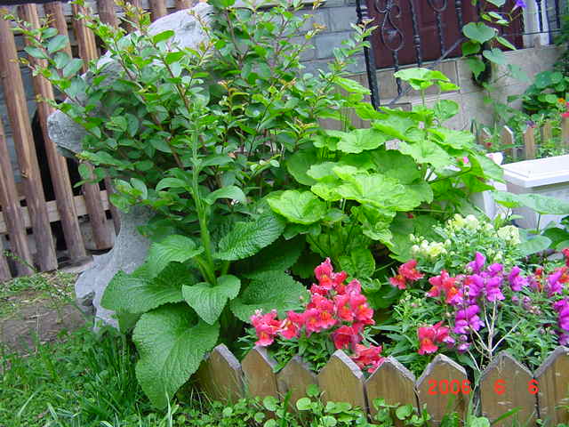 ����СԺ����P12 ���ٺ�����