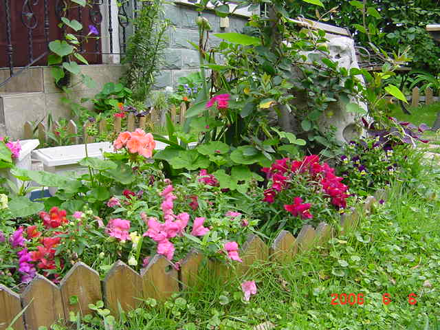 ����СԺ����P12 ���ٺ�����