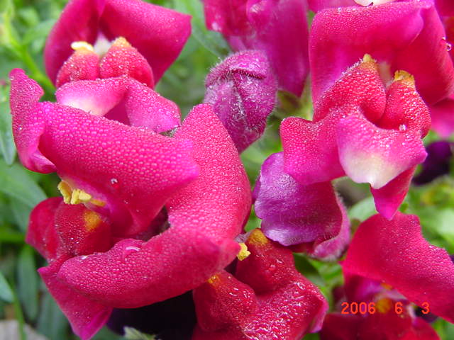 ����СԺ����P12 ���ٺ�����