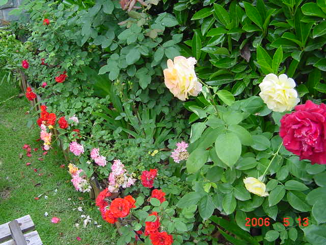 ����СԺ����P12 ���ٺ�����