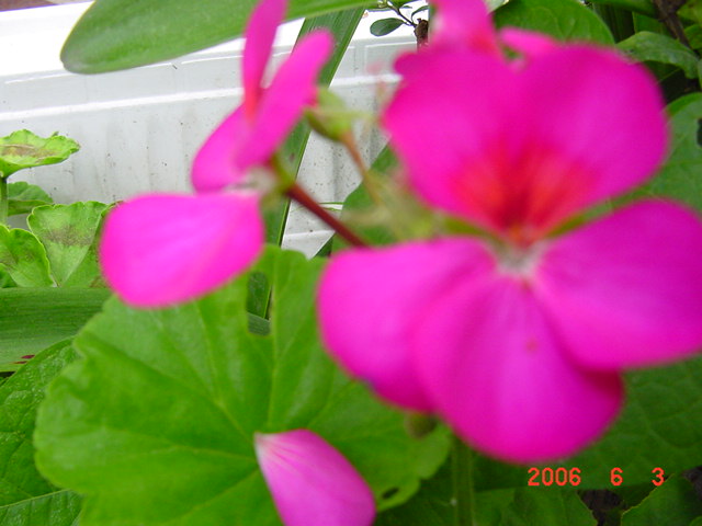 ����СԺ����P12 ���ٺ�����