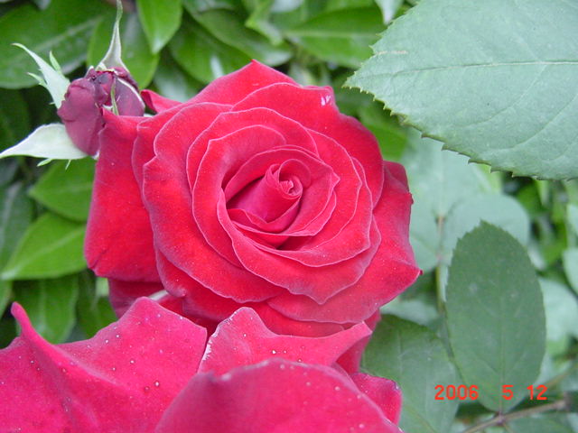 ����СԺ����P12 ���ٺ�����