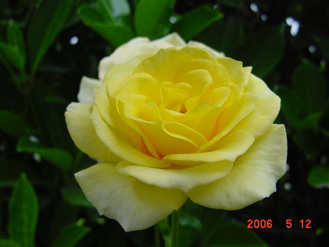 ����СԺ����P12 ���ٺ�����