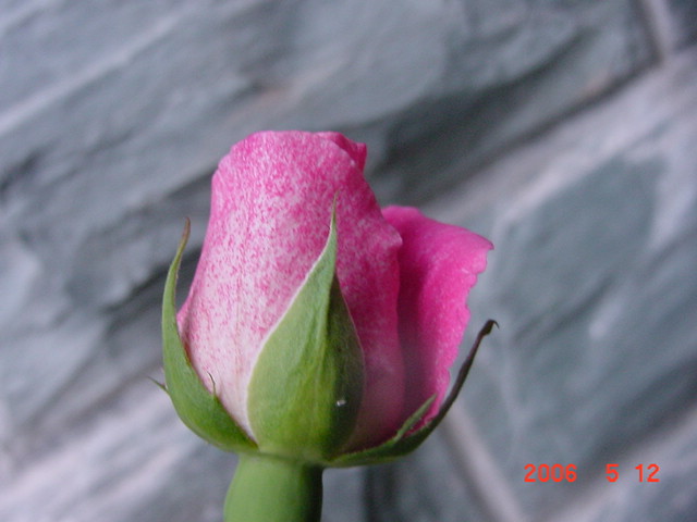 ����СԺ����P12 ���ٺ�����