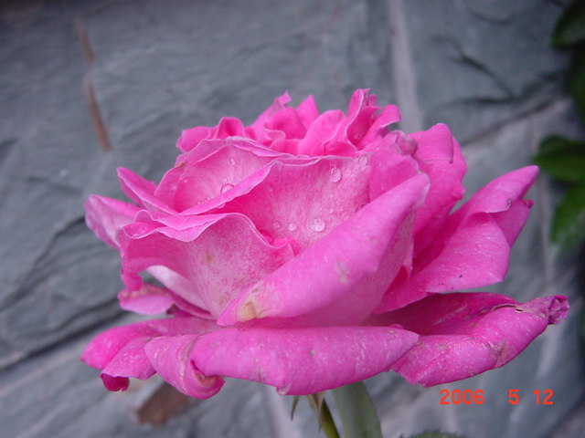 ����СԺ����P12 ���ٺ�����