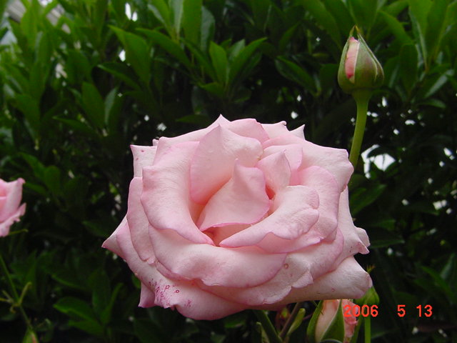 ����СԺ����P12 ���ٺ�����