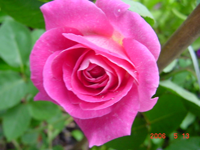 ����СԺ����P12 ���ٺ�����