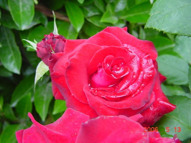 ����СԺ����P12 ���ٺ�����