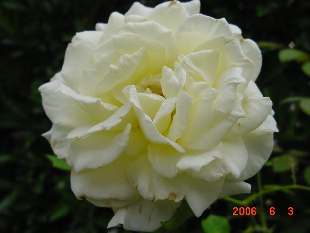 ����СԺ����P12 ���ٺ�����