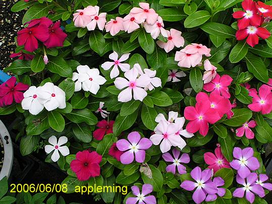 ֱ�������մ����N����o�