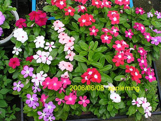 ֱ�������մ����N����o�