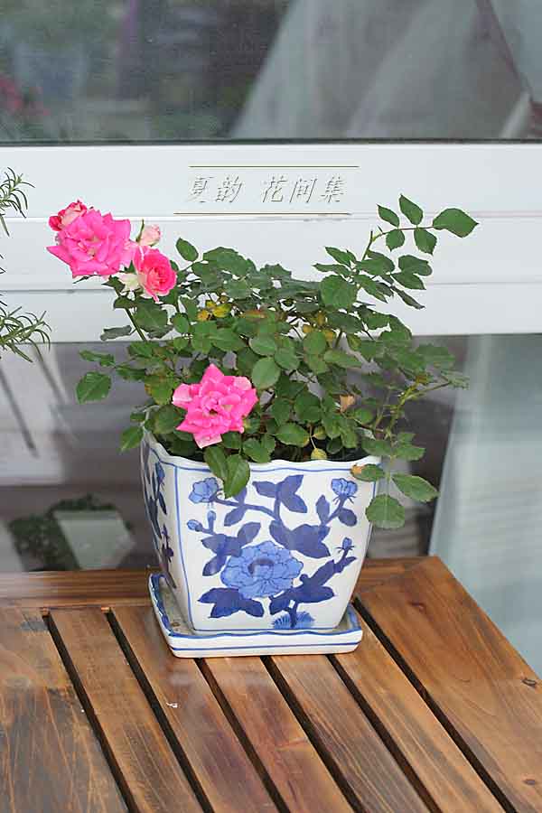 ���伯------�ҵ��¼���԰