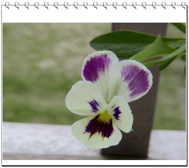 06��һЩ����--��ɫ���л�