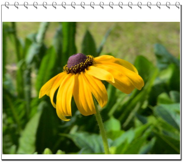 06��һЩ����--��ɫ���л�