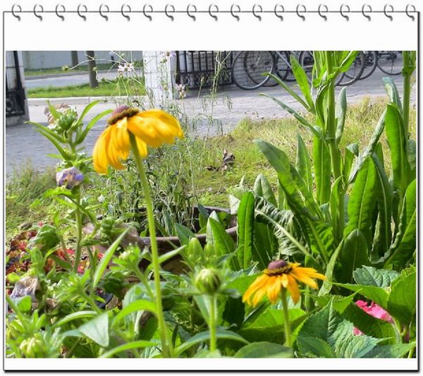 06��һЩ����--��ɫ���л�