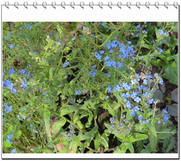 06��һЩ����--��ɫ���л�