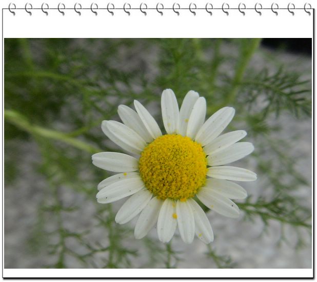 ����һ��ſϿ��Ļ�:P3��β��