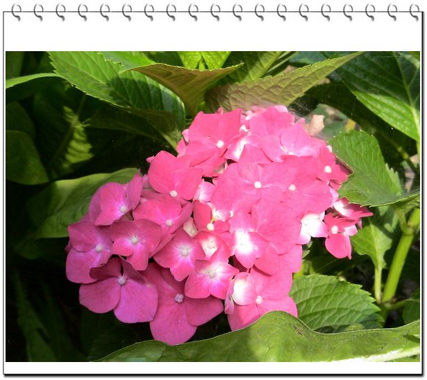 06��һЩ����--���յ�