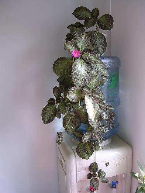 [��ͼ]ɵ������ȫ��¼��������