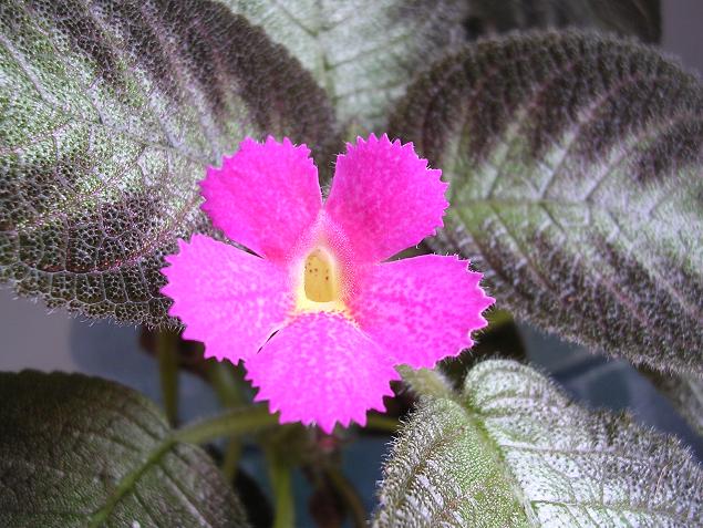 [��ͼ]ɵ������ȫ��¼��������