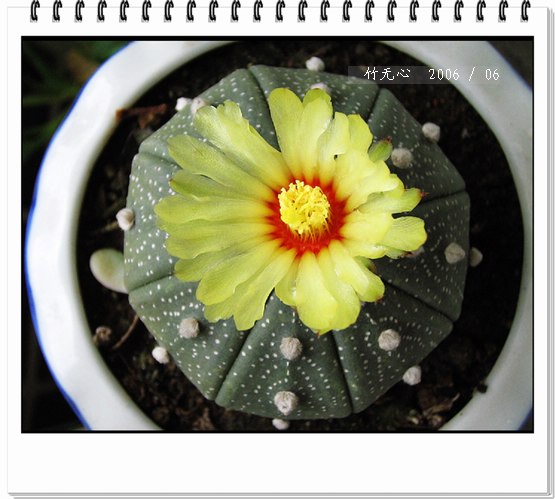 ��������������һ����Ҳ����~