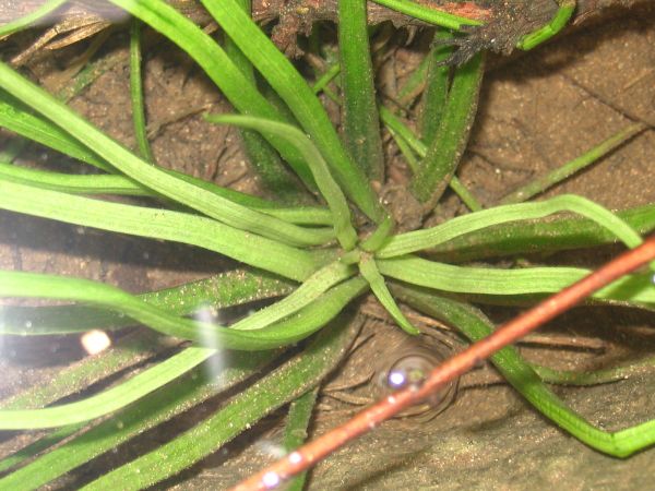 ���N�Nާ������