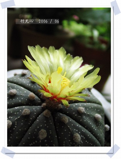 ��������������һ����Ҳ����~