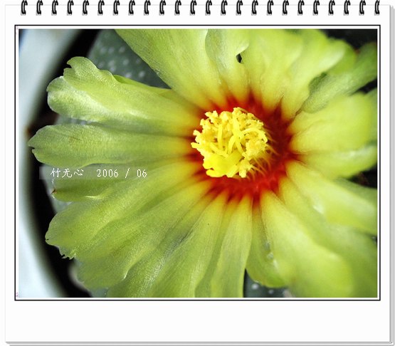 ��������������һ����Ҳ����~