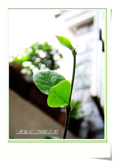 ���ȵ���������..P2,��ں���~