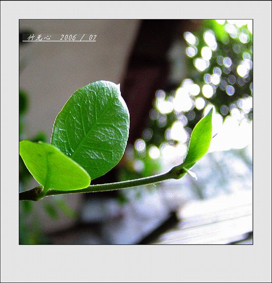 ���ȵ���������..P2,��ں���~