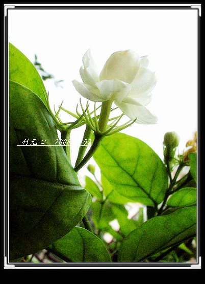 ���ȵ���������..P2,��ں���~