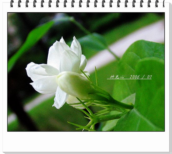 ���ȵ���������..P2,��ں���~