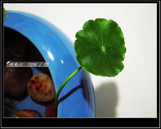 ���ȵ���������..P2,��ں���~