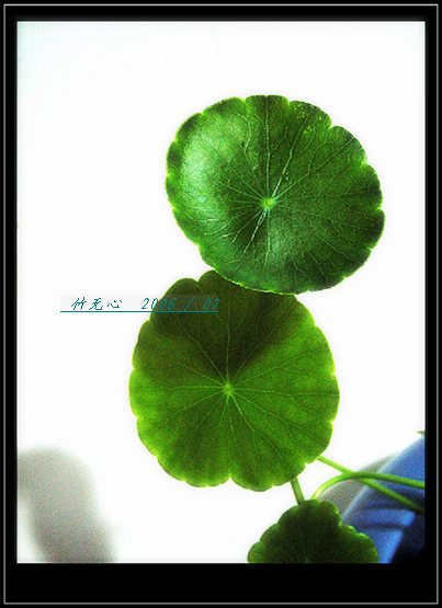 ���ȵ���������..P2,��ں���~