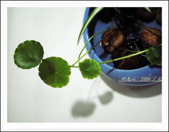 ���ȵ���������..P2,��ں���~