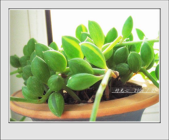 ���ȵ���������..P2,��ں���~