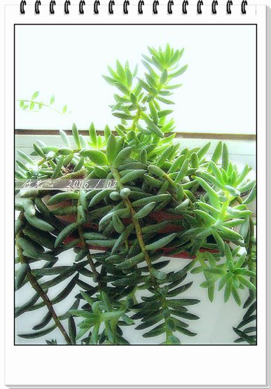 ���ȵ���������..P2,��ں���~