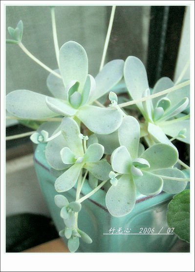 ���ȵ���������..P2,��ں���~