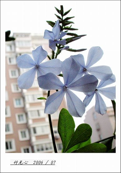 ���ȵ���������..P2,��ں���~