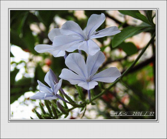 ���ȵ���������..P2,��ں���~