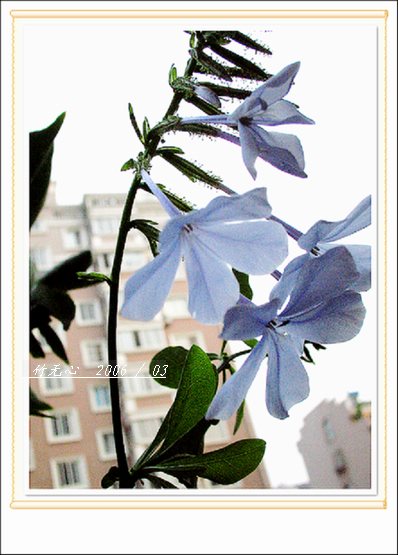 ���ȵ���������..P2,��ں���~