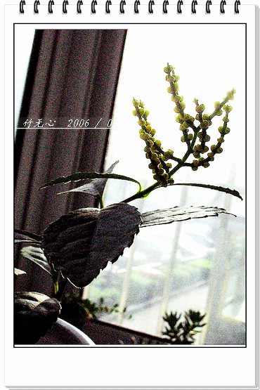 ���ȵ���������..P2,��ں���~